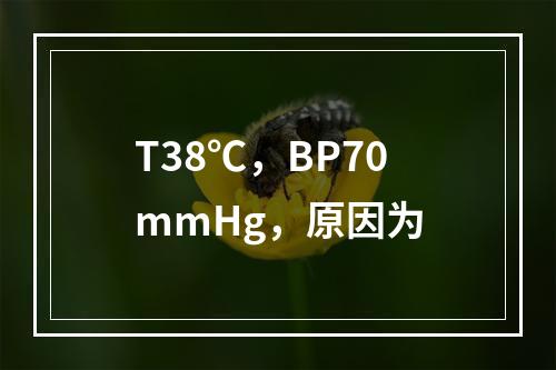 T38℃，BP70mmHg，原因为