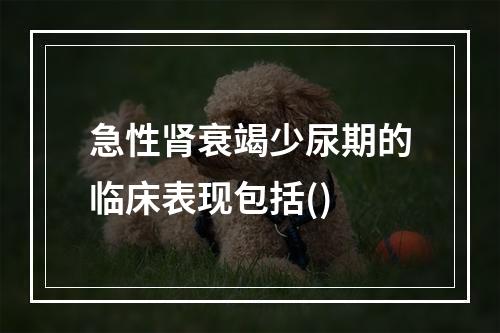 急性肾衰竭少尿期的临床表现包括()