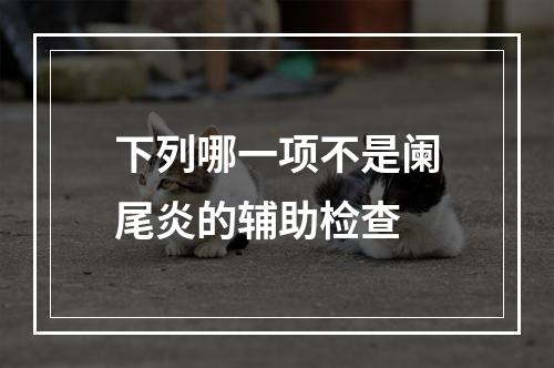 下列哪一项不是阑尾炎的辅助检查