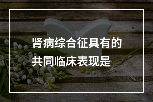 肾病综合征具有的共同临床表现是