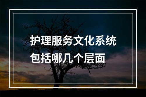 护理服务文化系统包括哪几个层面