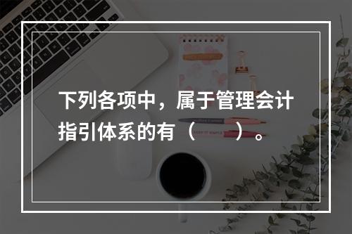 下列各项中，属于管理会计指引体系的有（　　）。