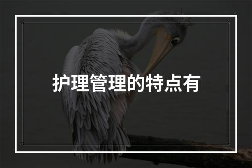 护理管理的特点有