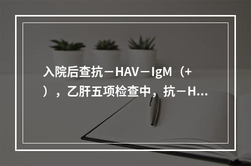 入院后查抗－HAV－IgM（+），乙肝五项检查中，抗－HBs