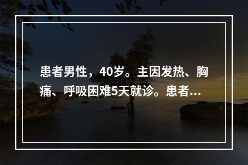 患者男性，40岁。主因发热、胸痛、呼吸困难5天就诊。患者5日