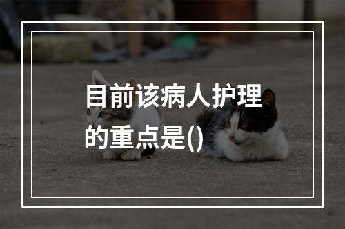 目前该病人护理的重点是()