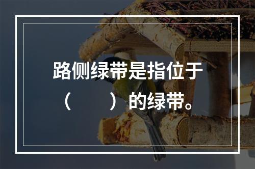 路侧绿带是指位于（　　）的绿带。