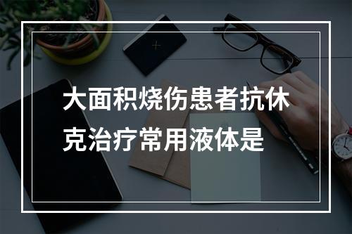 大面积烧伤患者抗休克治疗常用液体是