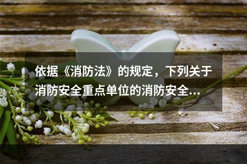 依据《消防法》的规定，下列关于消防安全重点单位的消防安全职