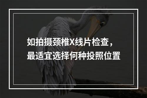 如拍摄颈椎X线片检查，最适宜选择何种投照位置