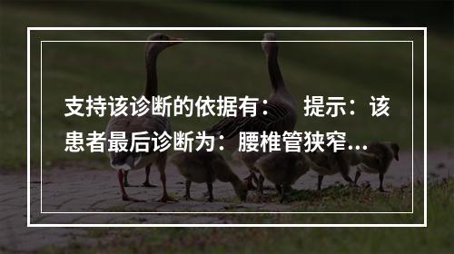 支持该诊断的依据有：　提示：该患者最后诊断为：腰椎管狭窄症