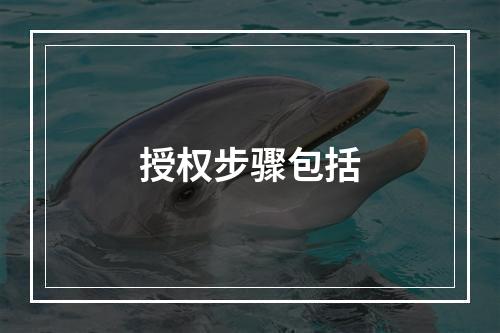 授权步骤包括