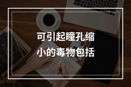 可引起瞳孔缩小的毒物包括