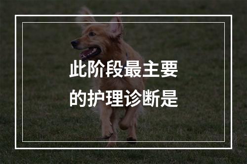 此阶段最主要的护理诊断是