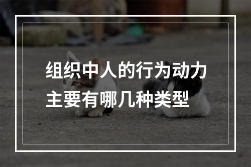 组织中人的行为动力主要有哪几种类型