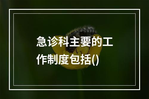 急诊科主要的工作制度包括()