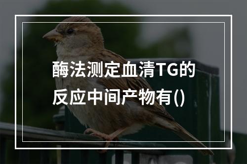 酶法测定血清TG的反应中间产物有()