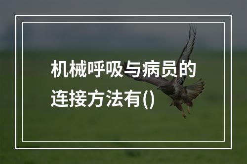 机械呼吸与病员的连接方法有()