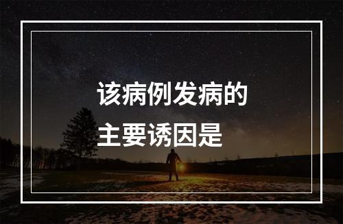 该病例发病的主要诱因是