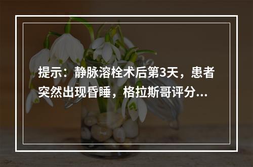 提示：静脉溶栓术后第3天，患者突然出现昏睡，格拉斯哥评分8分