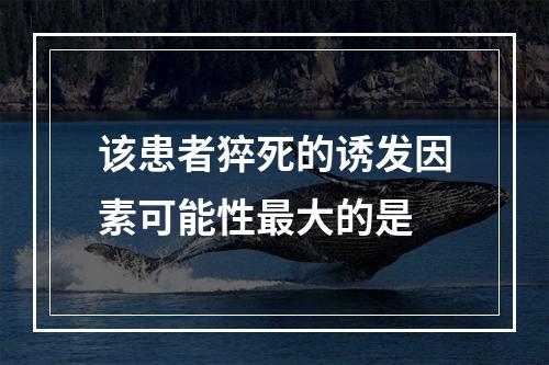 该患者猝死的诱发因素可能性最大的是