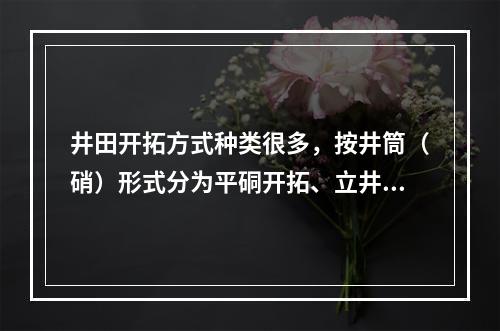 井田开拓方式种类很多，按井筒（硝）形式分为平硐开拓、立井开拓