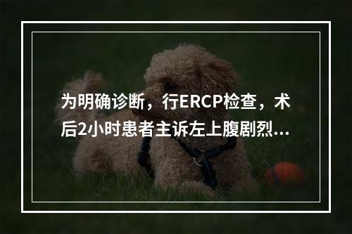 为明确诊断，行ERCP检查，术后2小时患者主诉左上腹剧烈疼痛