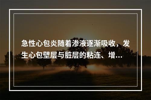 急性心包炎随着渗液逐渐吸收，发生心包壁层与脏层的粘连、增厚、