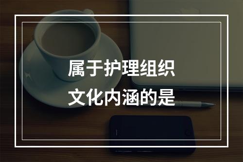 属于护理组织文化内涵的是