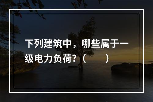 下列建筑中，哪些属于一级电力负荷?（　　）