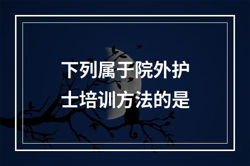 下列属于院外护士培训方法的是