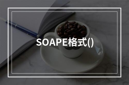 SOAPE格式()