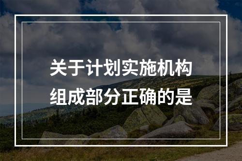 关于计划实施机构组成部分正确的是