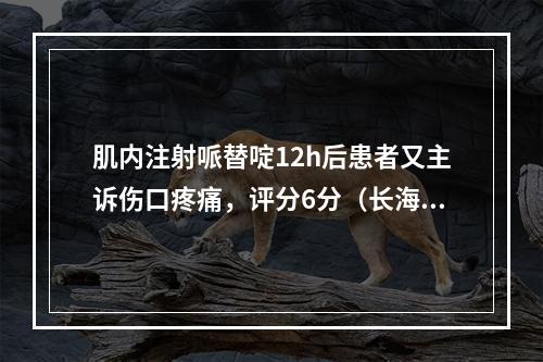 肌内注射哌替啶12h后患者又主诉伤口疼痛，评分6分（长海痛尺