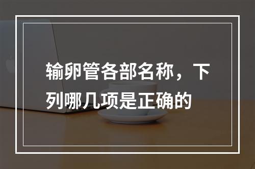 输卵管各部名称，下列哪几项是正确的