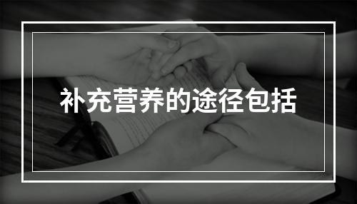 补充营养的途径包括