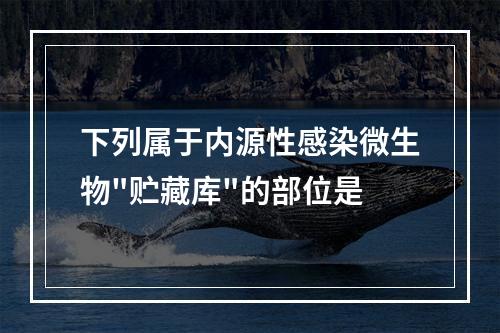 下列属于内源性感染微生物