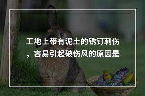 工地上带有泥土的锈钉刺伤，容易引起破伤风的原因是