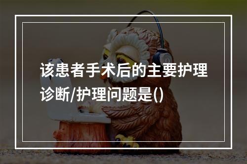 该患者手术后的主要护理诊断/护理问题是()