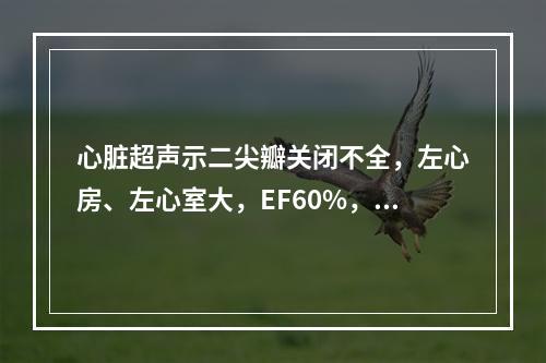 心脏超声示二尖瓣关闭不全，左心房、左心室大，EF60%，并伴