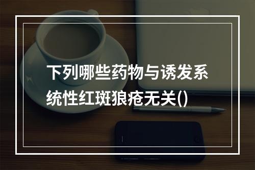 下列哪些药物与诱发系统性红斑狼疮无关()