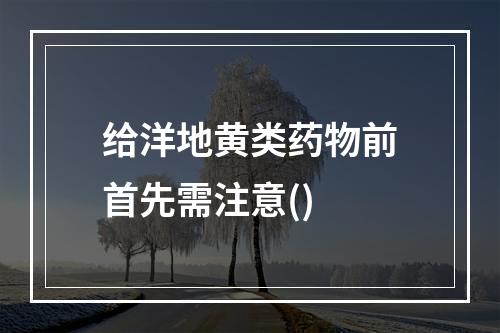 给洋地黄类药物前首先需注意()