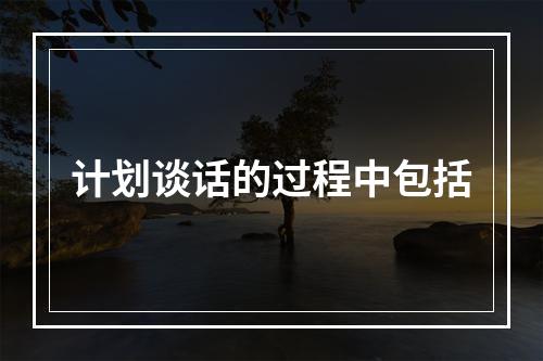 计划谈话的过程中包括