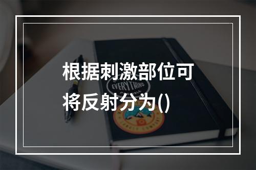 根据刺激部位可将反射分为()