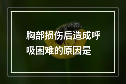 胸部损伤后造成呼吸困难的原因是