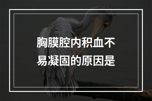 胸膜腔内积血不易凝固的原因是