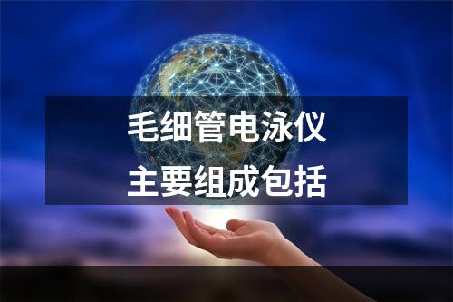 毛细管电泳仪主要组成包括