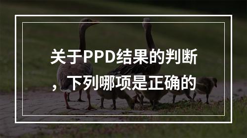 关于PPD结果的判断，下列哪项是正确的