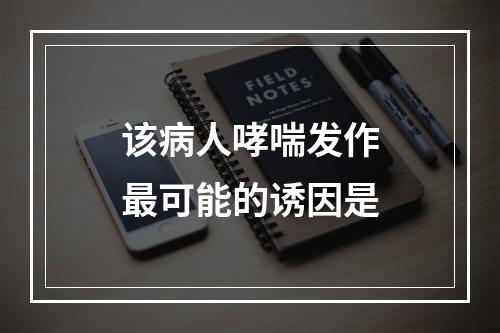 该病人哮喘发作最可能的诱因是