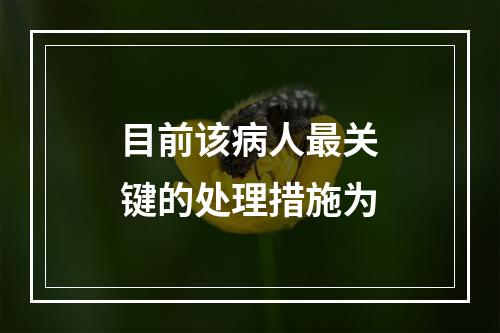 目前该病人最关键的处理措施为